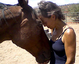 equine assisted psychotherapy